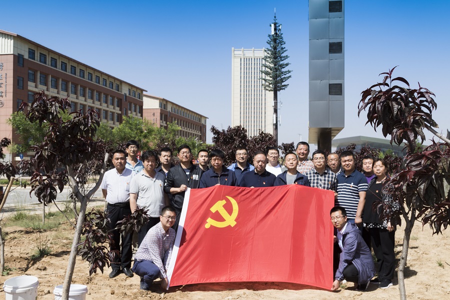 1560475113895076527.jpg 4.jpg